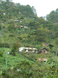 Mayan home scattered on a 
hillside south of Coban, Guatemala