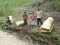 the same Mayan people resting
